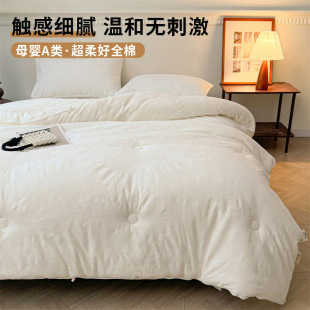 Soybean Quilt High-end Brand 2024 New Cotton Class A Spring and Autumn Quilt Winter Quilt Raw Cotton Quilt Light Luxury Thickened Quilt Core