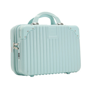 Plus Feiyang Luggage Factory Straight Hair 14-inch Small Luggage Hanging Trolley Case with Combination Lock Suitcase