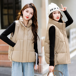 Foreign Trade Cross-border Down Cotton Vest Women's Autumn and Winter New Style Small Outer Wearing Vest Jacket with Vertical Collar Outer Wearing Ware Back