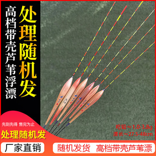 Reed float with Shell Reed float shell Reed float Reed float wholesale fishing highly sensitive carp floating standard bold fishing float