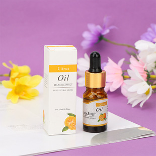 Dropper Aromatherapy Essential Oil Fruit Flavor Bedroom Humidifier Expanding Fragrance Stone Fragrance Lasting Car Lemon Plant Essential Oil
