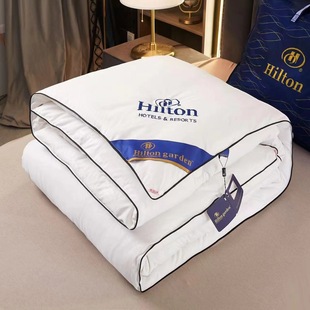 Hilton Hotel Silk Quilt Gift Box Spring Autumn Winter Quilt Homestay Quilt Core Group Buying Gift Quilt Wholesale