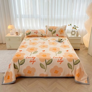 Milk Velvet Blanket Cloud Mink Velvet Single Double Flannel Blanket Student Dormitory Blanket Air Conditioning Office Noon Blanket