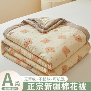 Xinjiang Cotton Summer Cool Quilt Cartoon Washed Cotton School Dormitory Air-conditioning Quilt Summer Quilt Gift Wholesale Live