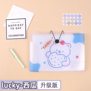 A4 organ bag folder student insert test paper storage bag large capacity data classification sorting folder multi-layer cartoon