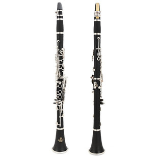 Jinbao (Single Reed) (Jbcl-601) B Flat