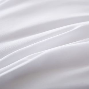 Hilton Hotel Pillow Star Homestay Pillow Core Cervical Spine Protection Home Single High and Low Pillow Factory Wholesale