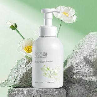 Bisutang Camellia Lock Водяная пена Массажное очищающее средство Нежное освежающее увлажняющее очищающее средство для лица Уход за кожей Фабрика Прямые волосы