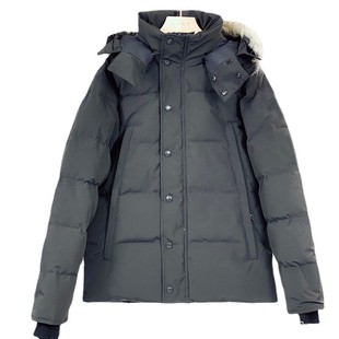 Cross-border foreign trade Big goose down jacket wyndham29 down jacket white duck down 3808M