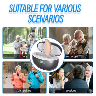 Cross-border hearing aid for the elderly Invisible behind-the-ear sound amplifier 16-channel digital display warehouse sound collector