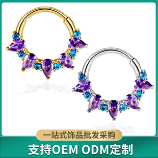 Electroplated titanium steel personality Noble amethyst nose ring stainless steel women's gold inlaid zircon ring piercing jewelry