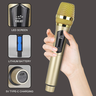 Cross-border supply wireless microphone one-to-two rechargeable home karaoke outdoor audio karaoke live singing