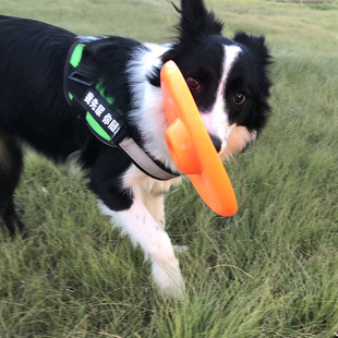 Pet Dog Training Dog Frisbee Toy Rubber Frisbee Dog Training Supplies Border Animal Husbandry Soft Frisbee Competition Horse Dog Training UFO