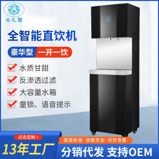 Heating filter water boiler reverse osmosis stainless steel water dispenser commercial large capacity intelligent water purification direct drinking machine