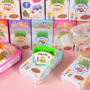 Creative Plant Blind Box Small Potted Plant Kindergarten Gift Indoor Planting Flower Seed Student Desktop Green Plant Potted Plant