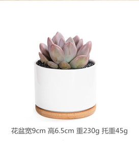Foreign Trade Simple White Porcelain Mini Fleshy Flower Pot Ornaments Cross-border Amazon Gardening Printable ogo Aromatherapy Candle Cup