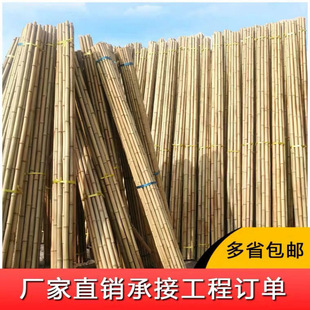 Postage indoor and outdoor decoration decoration anti-corrosion insect-proof bamboo pole flagpole partition ceiling bamboo pole yellow and white 1234 meters fence