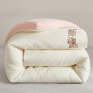 Xinjiang Cotton Quilt Core Thickened Warm Winter Quilt Dormitory Single Three-dimensional Jacquard Quilt Spring and Autumn Quilt