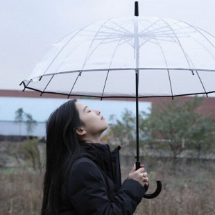 16 Bone Long Handle Umbrella Wholesale Small Fresh Student Automatic Umbrella Printable Logo Advertising Umbrella Straight Umbrella Transparent Umbrella