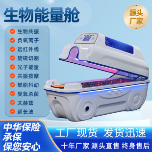 Intelligent bio-resonance energy cabin health sweat steam cabin month physiotherapy instrument beauty salon graphene sauna sweat steam room