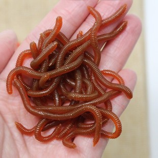 Soft bait wholesale bionic earthworm 3.5cm 8cm 10cm TPR Luya bait 20 50 set