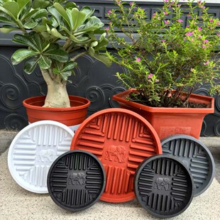 Yoshixiang Ruyi Flower Pot Tray Resin Plastic Flower Plate Flower Pot Base Thickened Chassis Pad Flower Pot Pad Bottom Water Dial