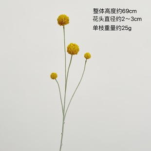 With Yang simulation gold ball 4 gold fruit living room soft small fresh table tennis wholesale cross-border exclusive