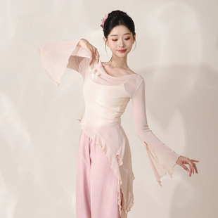 Fairy Swing Collar Classical Dance Costume Rhyme Gauze Clothes Butterfly Chinese Mesh Long Sleeve Top Women's Modern Dance Practice Clothes