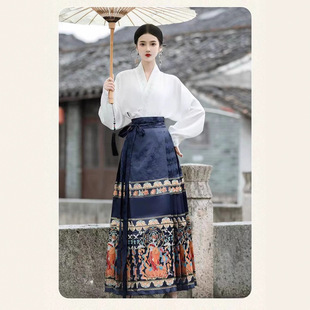 Новый китайский стиль {Tianwu Xianfan} костюм юбки с конским лицом