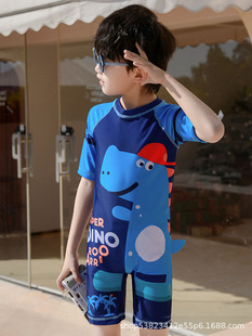 2024 new children's swimsuit one-piece quick-drying cute cartoon dinosaur swimming trunks boys professional swimwear wholesale
