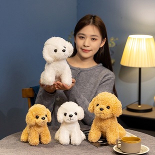 Cute Curly Teddy Dog Doll Plush Toy Puppy Dog Curly Dog Doll Children's Accompanying Pacifying Rag Doll