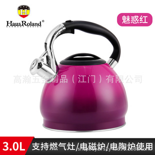 304 Stainless Steel Sound Kettle Gas Induction Cooker Household Kettle Gradient Color Thickened Compound Bottom Sound Kettle