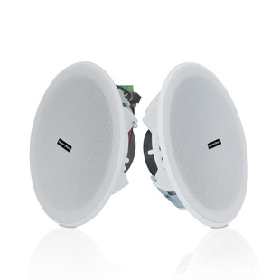 SURPASS source factory direct high quality full frequency speaker active wireless ceiling Bluetooth speaker Wireless