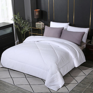 Silk summer cool quilt mulberry silk winter quilt air conditioning quilt student dormitory quilt core Spring and Autumn thick cotton quilt wine list wholesale