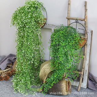 Artificial green plant Golden Bell willow wall hanging living room wall decoration plastic flower hanging basket plant rattan artificial green plant leaf