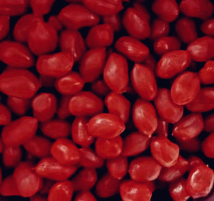 Simulation Beans Cereals Coffee Beans Peanuts Corn Grains Soybean Mung Beans Red Beans Decorative Ornaments Photography Props