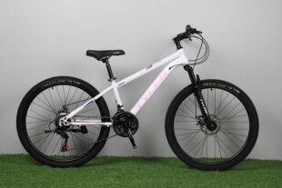 TYLER Cross-border 24-inch Dual Disc Brake Commuter 26-inch Mountain Variable Speed Bike 21-speed Off-road Mountain Bike
