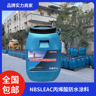 LEAC acrylic polymer cement waterproof coating concrete wall roof outer wall waterproof