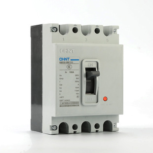 Chint Circuit Breaker NM10 -100/330 -250 4P Moulded Case Circuit Breaker