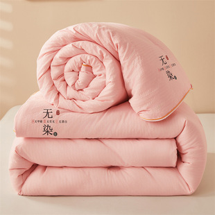 Class A mother and infant soybean fiber is thickened by raw cotton winter quilt dormitory hotel spring and autumn summer quilt core high-end gift quilt