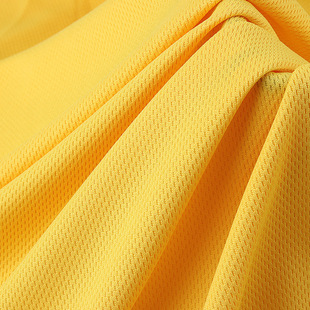 75D/72F Pinhole Bird's Eye Cloth Spring and Summer Quick-Drying Sportswear T-Shirt Mesh Cloth Pinhole Dot Bird's Eye Cloth Fabric