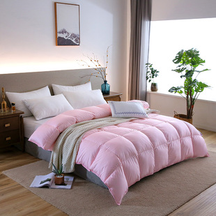 Down quilt 95 white goose down quilt core spring and autumn quilt five-star pure cotton single double thick warm winter quilt core