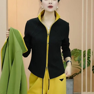 2025 Spring Fashion Selection New Solid Color Design Sense Zipper Cardigan Collar All-match Slimming Top Women