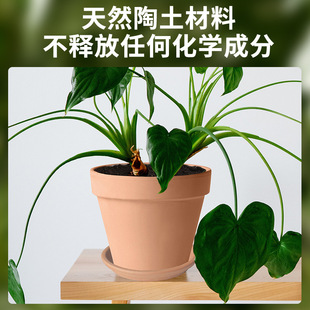 Emperor Roman Flower Pot Tray Natural Red Clay Stoneware Breathable Thickened Large Diameter Fleshy Green Plant Water Tray Base
