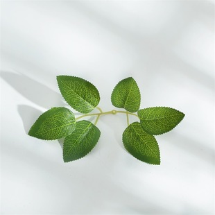 Factory Supply Six Fork Silk Screen Rose Leaf Silk Screen Flower Rose Simulation Leaf Rose Six Leaf Cloth Leaf