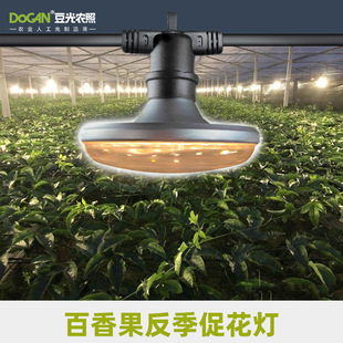 15W Long Sunlight Promotion Lantern Passion Fruit Papaya Millet Green Jujube Plant Fill Light LED Rainproof ScreW Flying Saucer Lamp