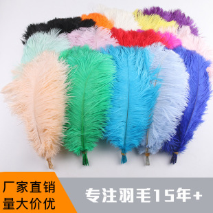 Factory direct 35-40cm ostrich feather stage performance color big feather diy wedding decoration flower ostrich