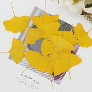 Dried Rose Dried Fruit Eternal Flower DIY Flower Material Sachet Aromatherapy Lemon Sticks Decorative Ornaments Wedding Supplies
