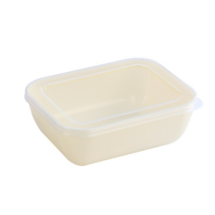 Household Refrigerator Storage Box Creative Plastic Food Frozen Meat Storage Box Kitchen Sealed Fruit Preservation Box