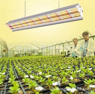 LEDT8 Double Row Plant Lamp T5 Single and Double Row Full Spectrum Sun-like Flower Illumination Lamp Coloring Fleshy Supplementing Lamp